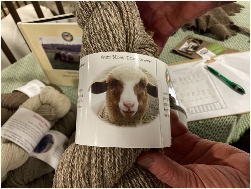 Apple Creek Merinos yarn; From Moon Dance to Ewe. Photo: Evelyn Taylor.